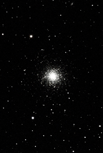 M13