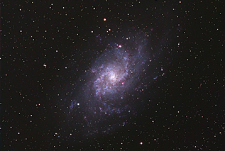 M33